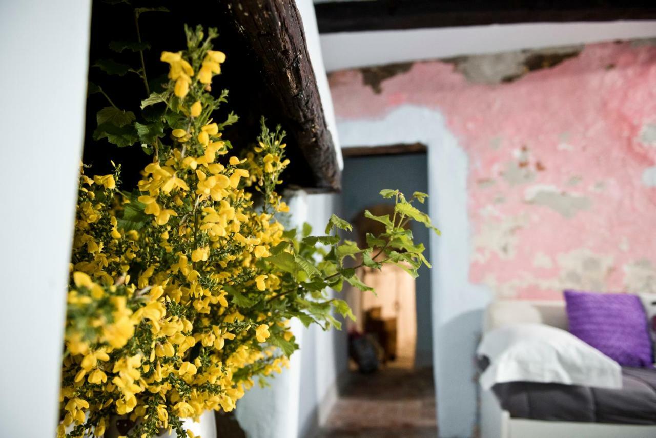 Apartmán Giamevi House Vignanello Exteriér fotografie